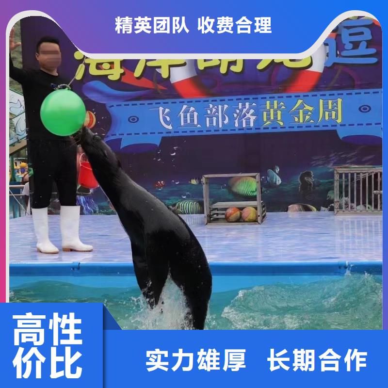 哪有出租企鹅的