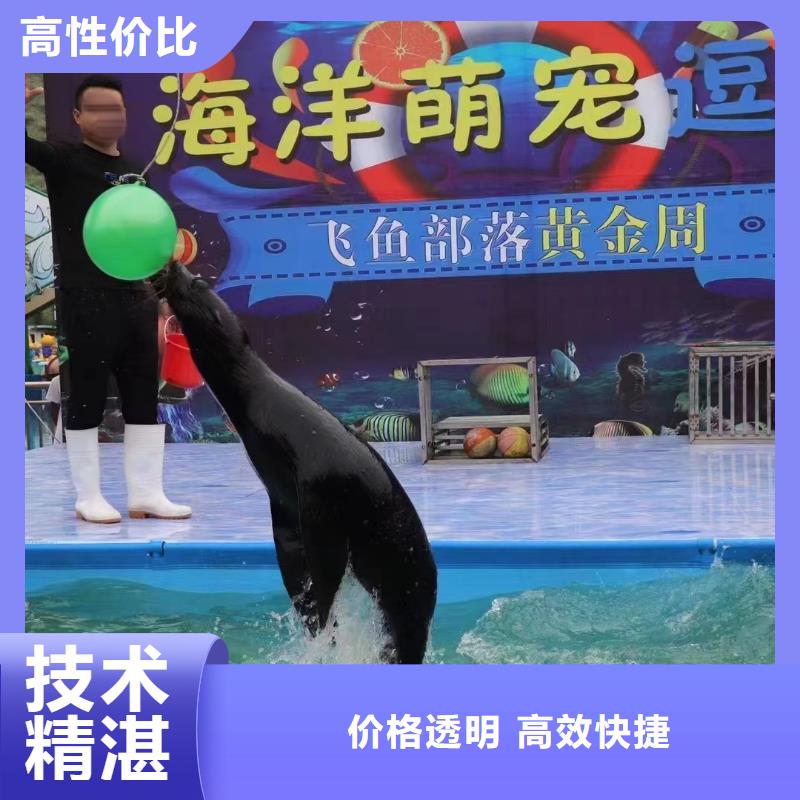 【海洋主题动物表演,出租表演企鹅多年经验】