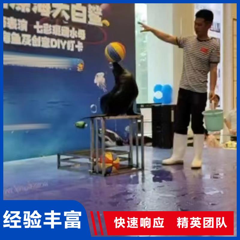 海洋主题动物表演_羊驼出租品质保证