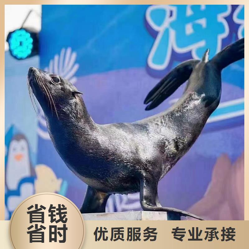【海洋主题动物表演】吉祥百鸟展随叫随到