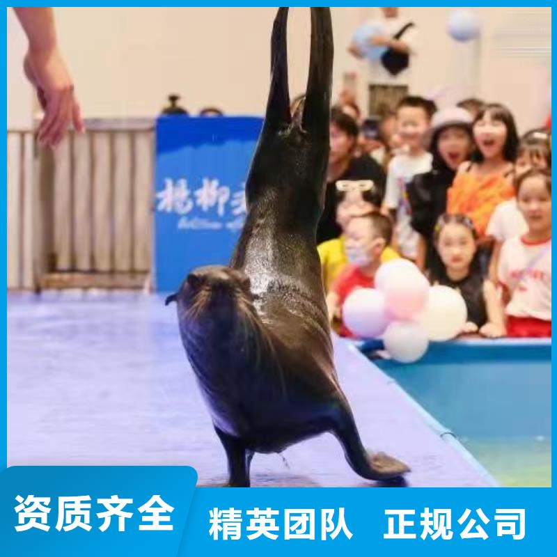 美人鱼表演租赁一手资源
