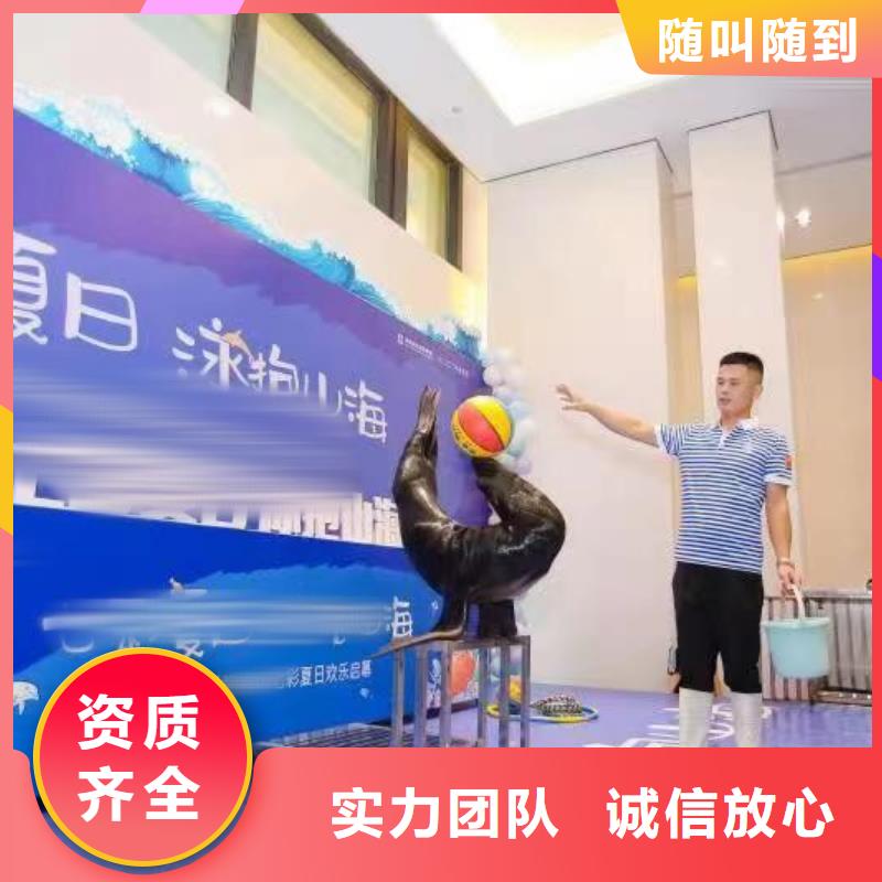 美人鱼表演租赁报价
