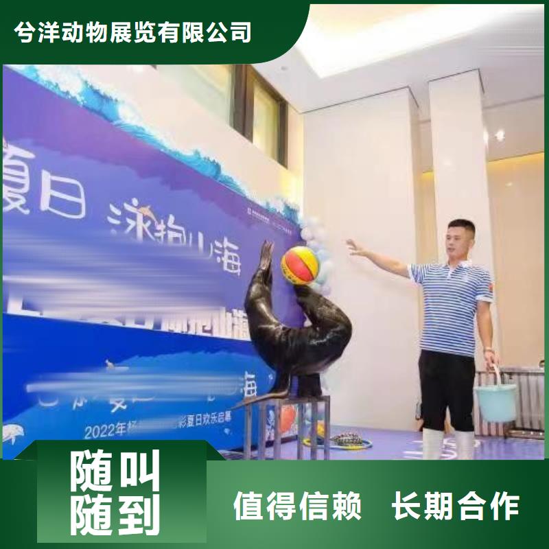 美人鱼表演租赁报价