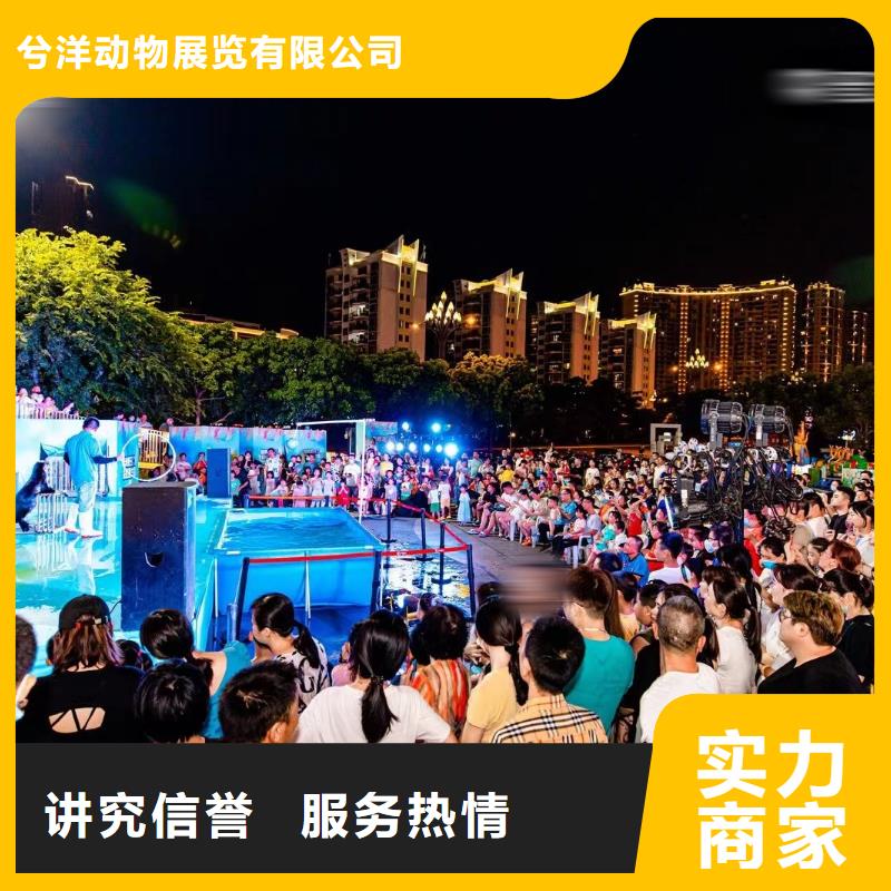 哪有出租美人鱼表演的暖场氛围