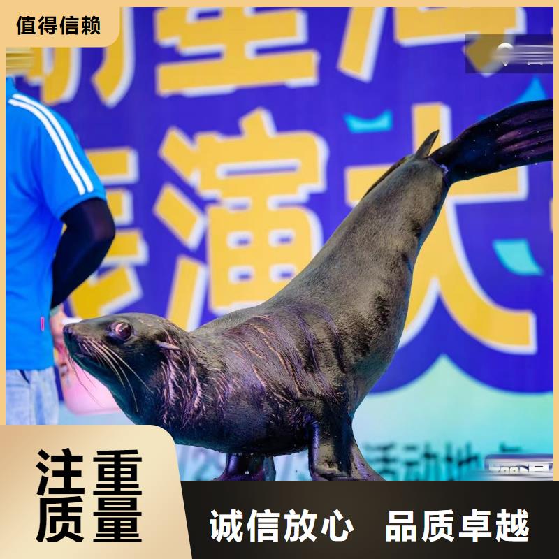 海洋展租赁活跃气氛