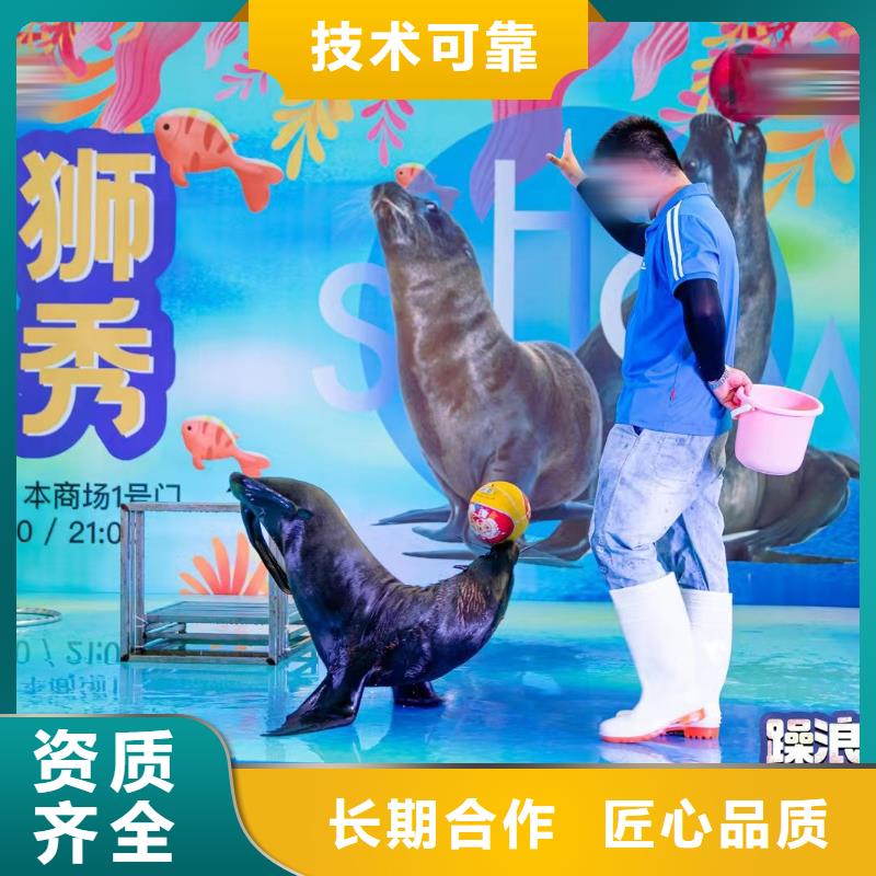 海洋主题动物表演_【表演动物出租】技术可靠