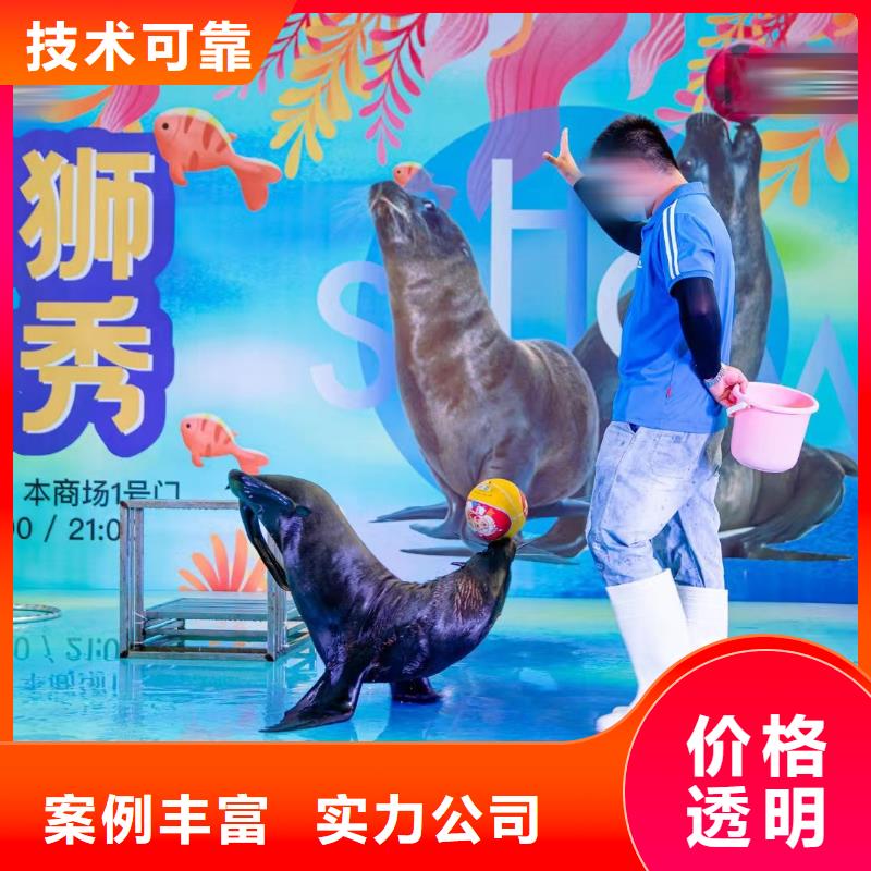 海洋主题动物表演【活体羊驼租赁】承接