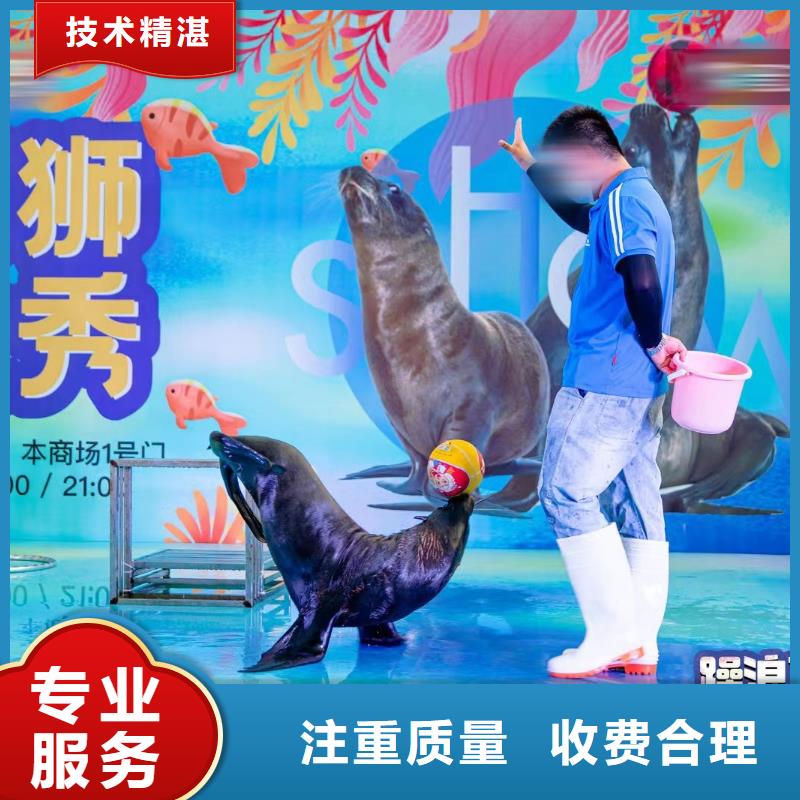 哪有出租海狮表演的安装价格