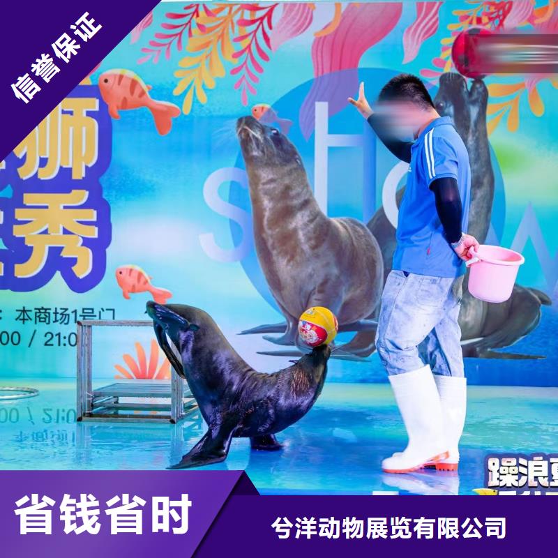 海洋主题动物表演,鹦鹉表演出租放心