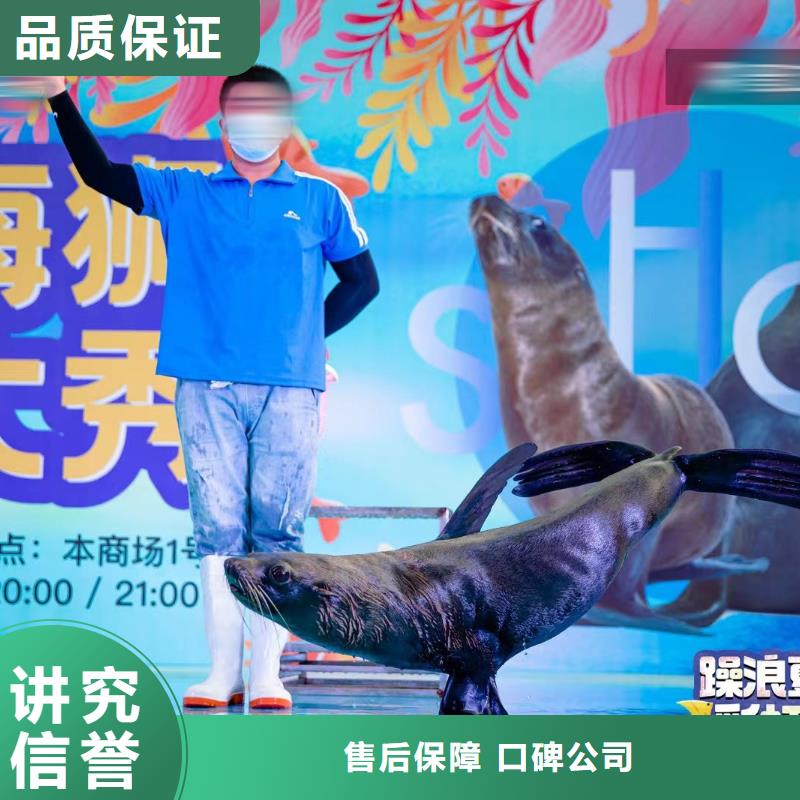 海洋主题动物表演鹦鹉表演租赁技术可靠