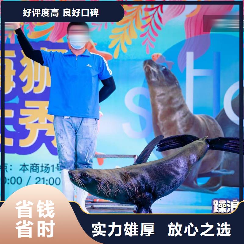 出租美人鱼表演活动
