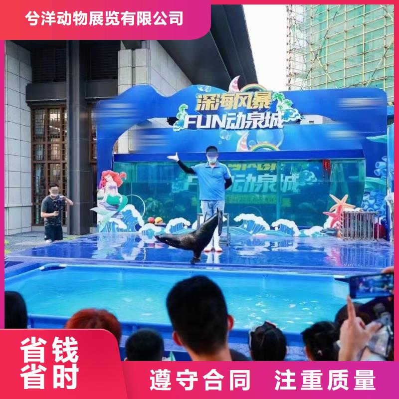 哪有出租企鹅的一手资源