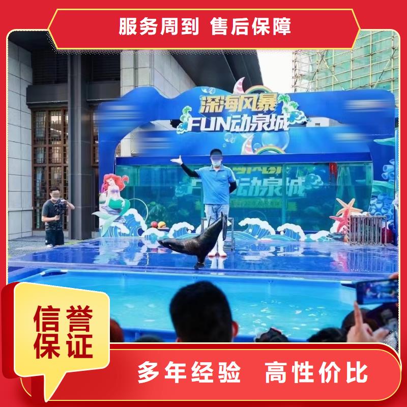 【海洋主题动物表演】租赁美人鱼表演诚信经营
