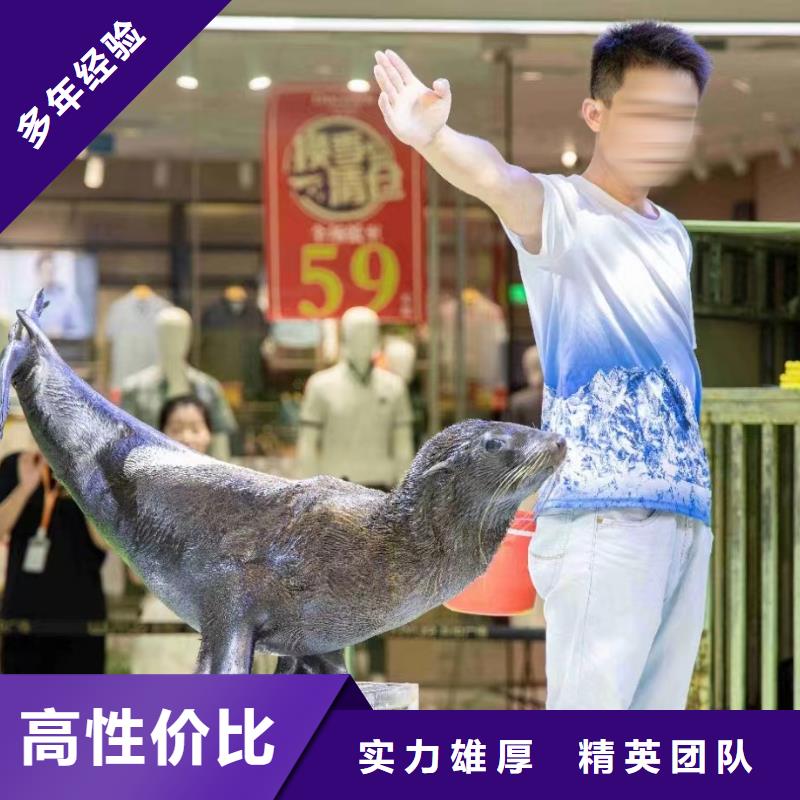 哪有出租海狮表演的一手资源