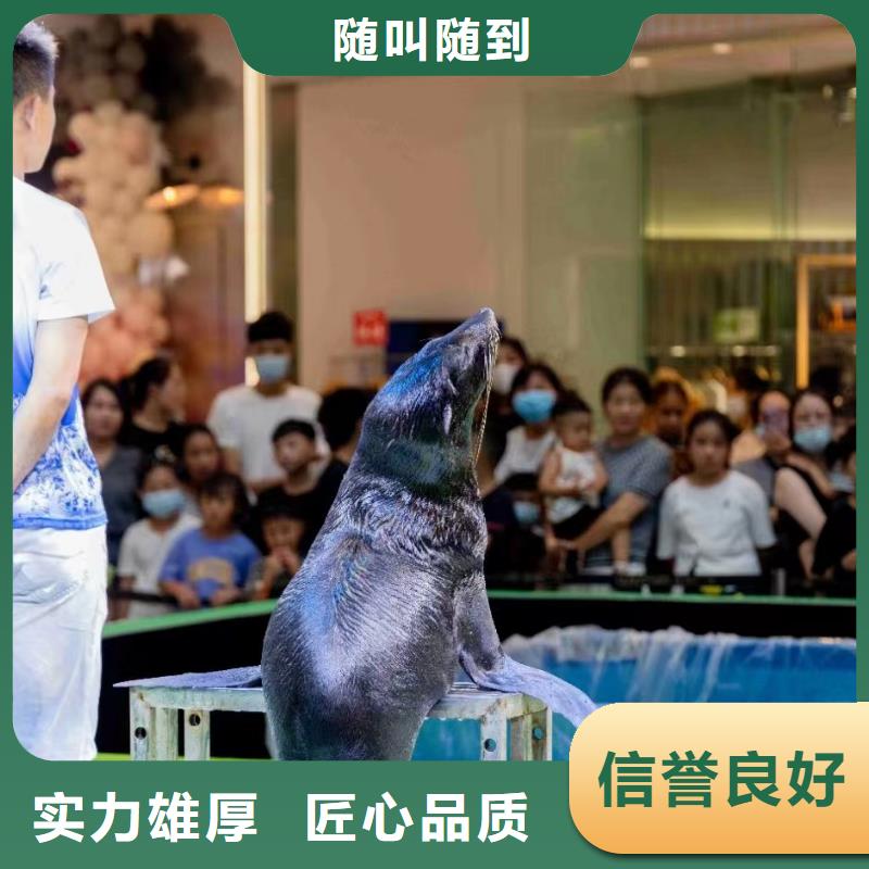 美人鱼表演租赁一手资源