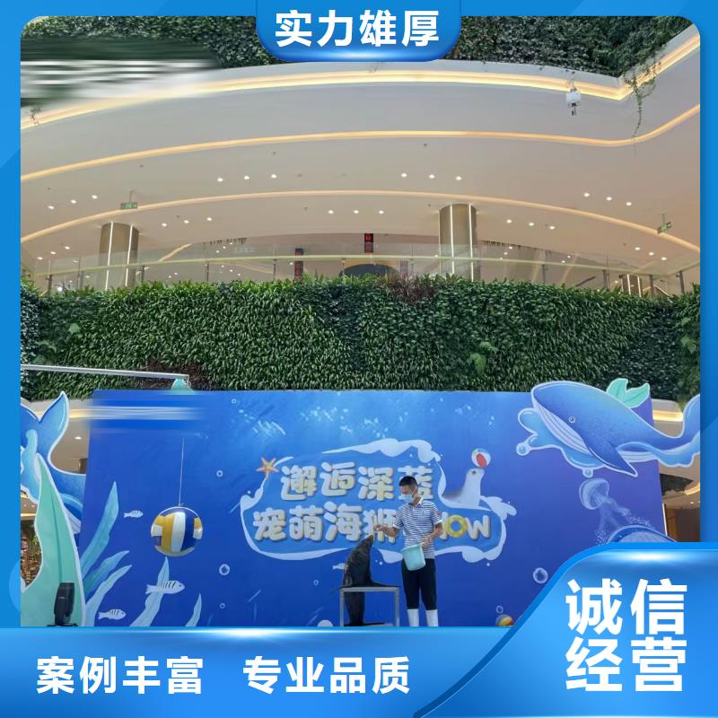 哪有出租海狮表演的一手资源