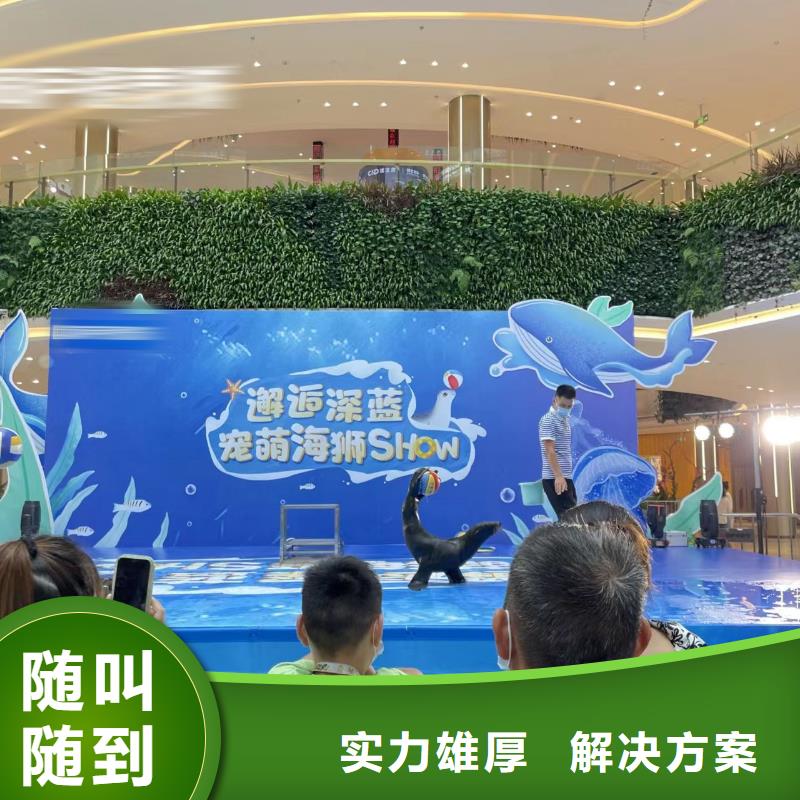 美人鱼表演租赁节日活动