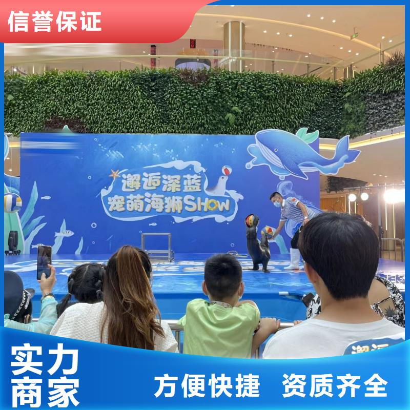 【海洋主题动物表演动物表演出租匠心品质】