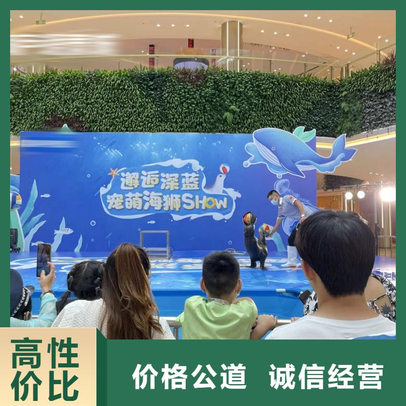 选购海洋展出租认准兮洋动物展览有限公司
