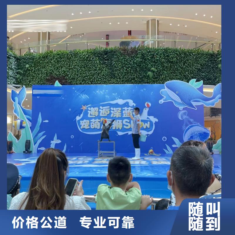 租赁美人鱼表演
