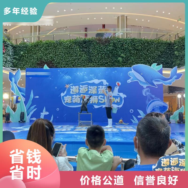 海洋主题动物表演_【表演动物出租】技术可靠