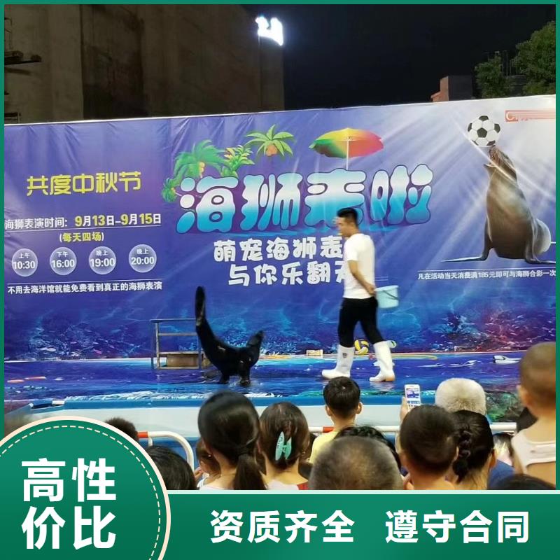 哪有出租企鹅的活动方案