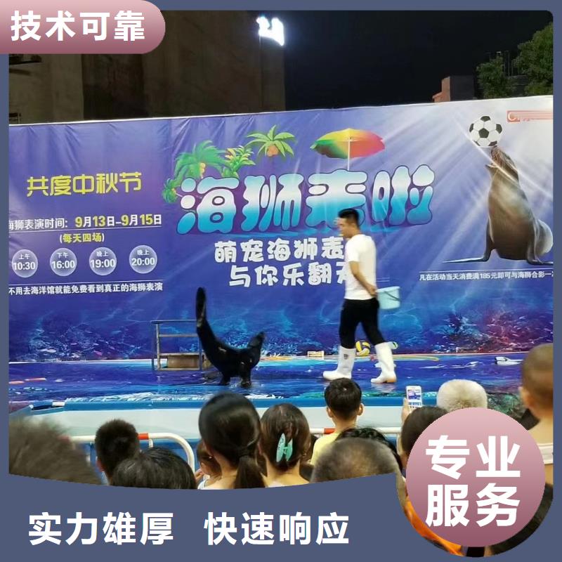 海洋生物鱼缸展租赁丰富多彩