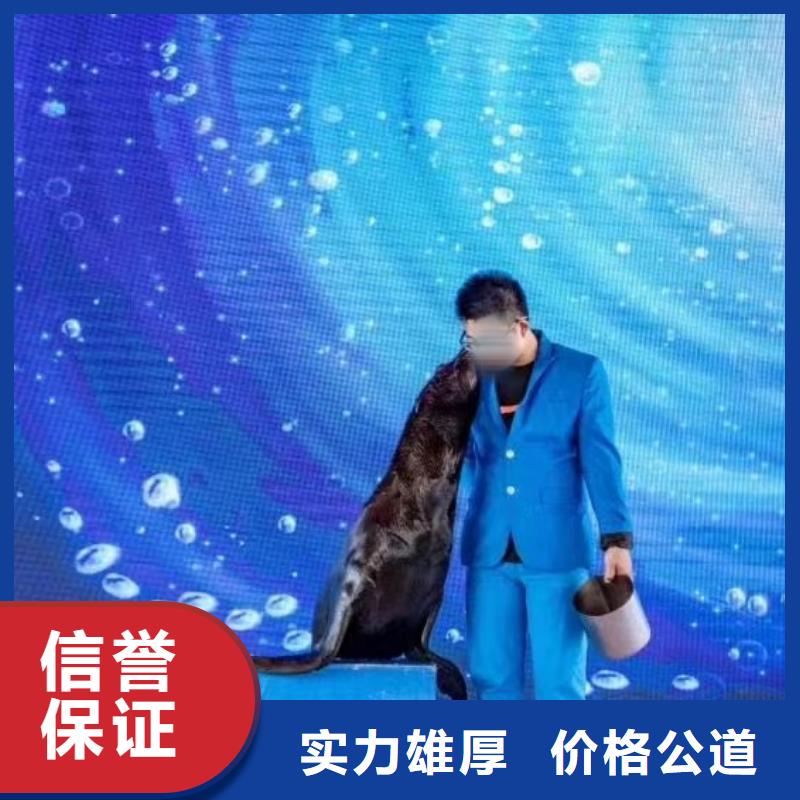 美人鱼表演出租品质经得起考验