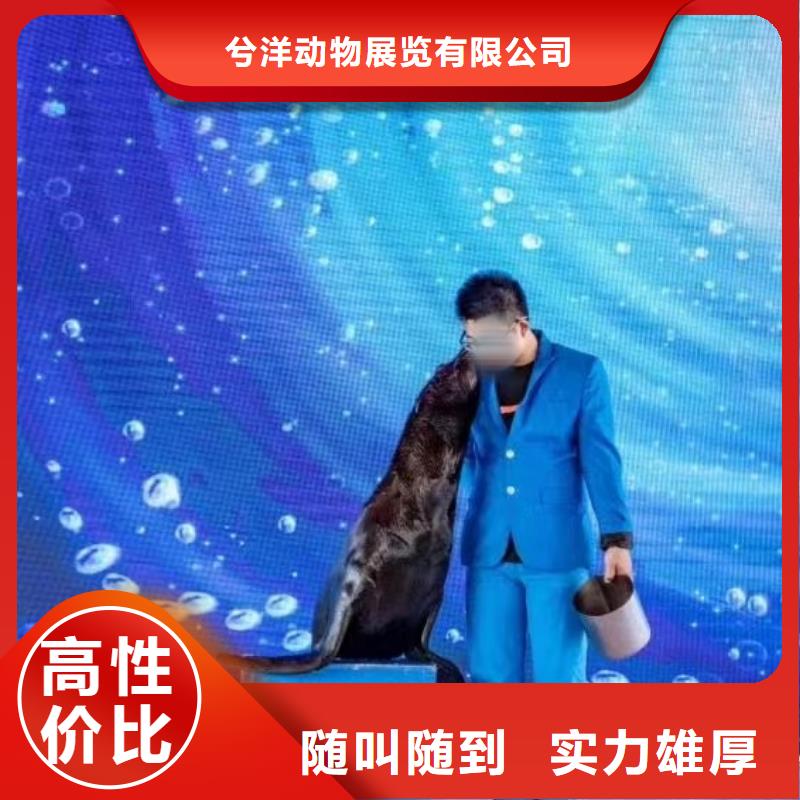 海洋生物展租赁一手资源