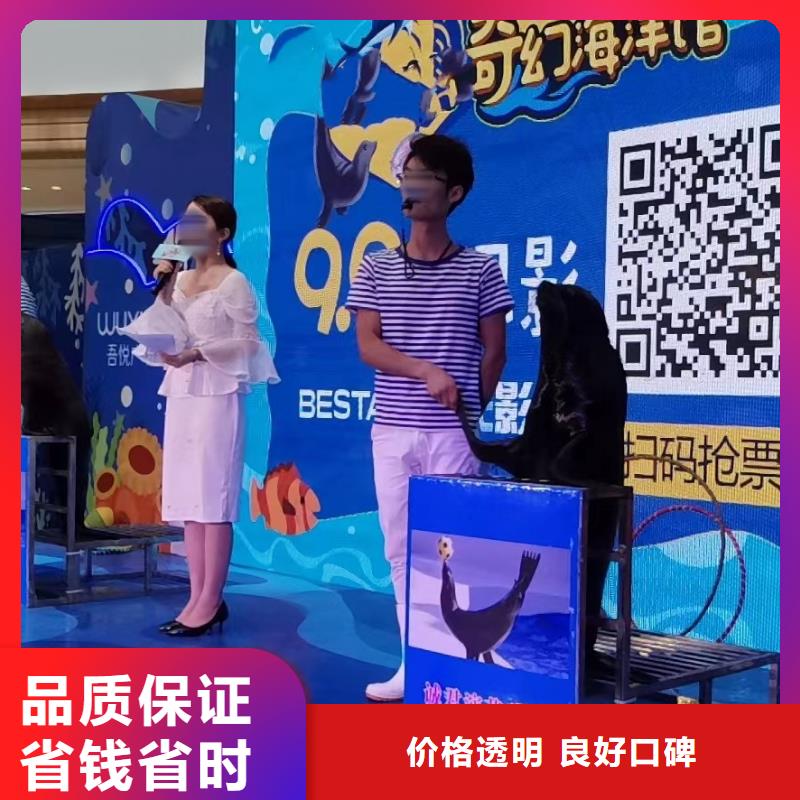 企鹅出租海洋馆