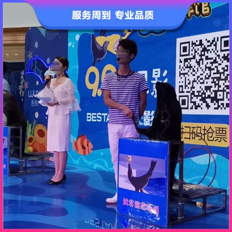美人鱼表演租赁一手资源