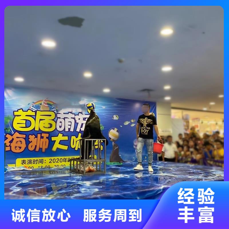 海洋主题动物表演_【表演动物出租】技术可靠