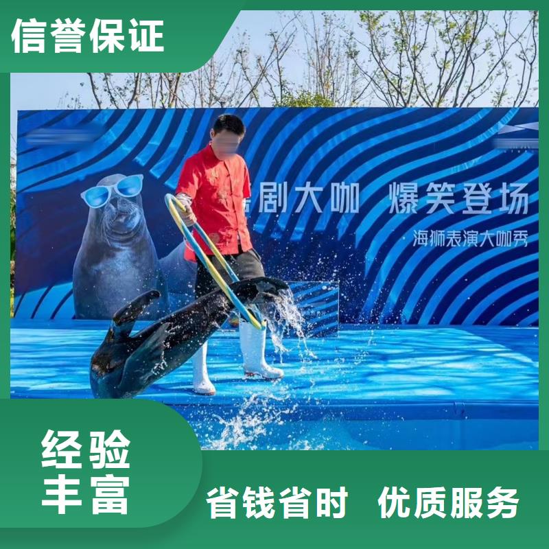 鳄鱼表演租赁活动庆典