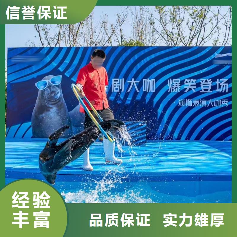海狮租赁公司活动庆典