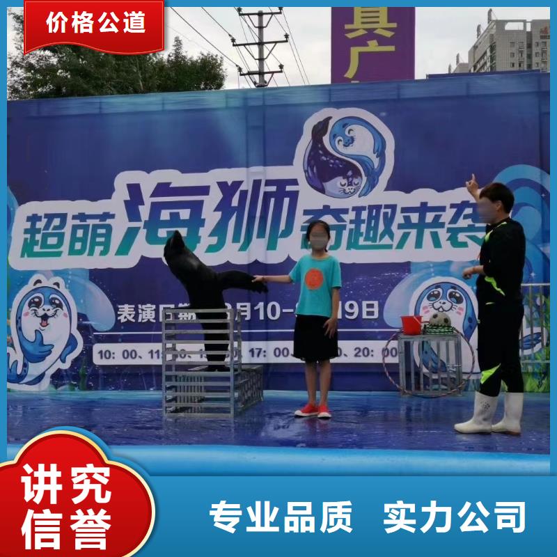 海洋主题动物表演_动物表演出租实力商家