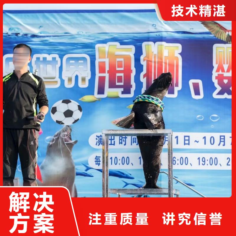 海洋生物展出租一手资源