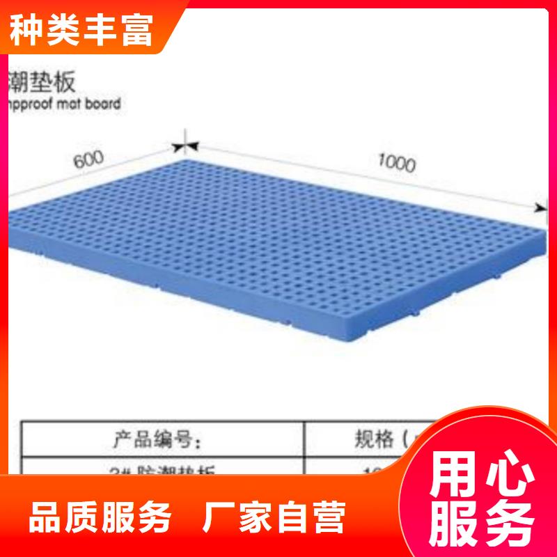 铁东区塑料拍子参考价格