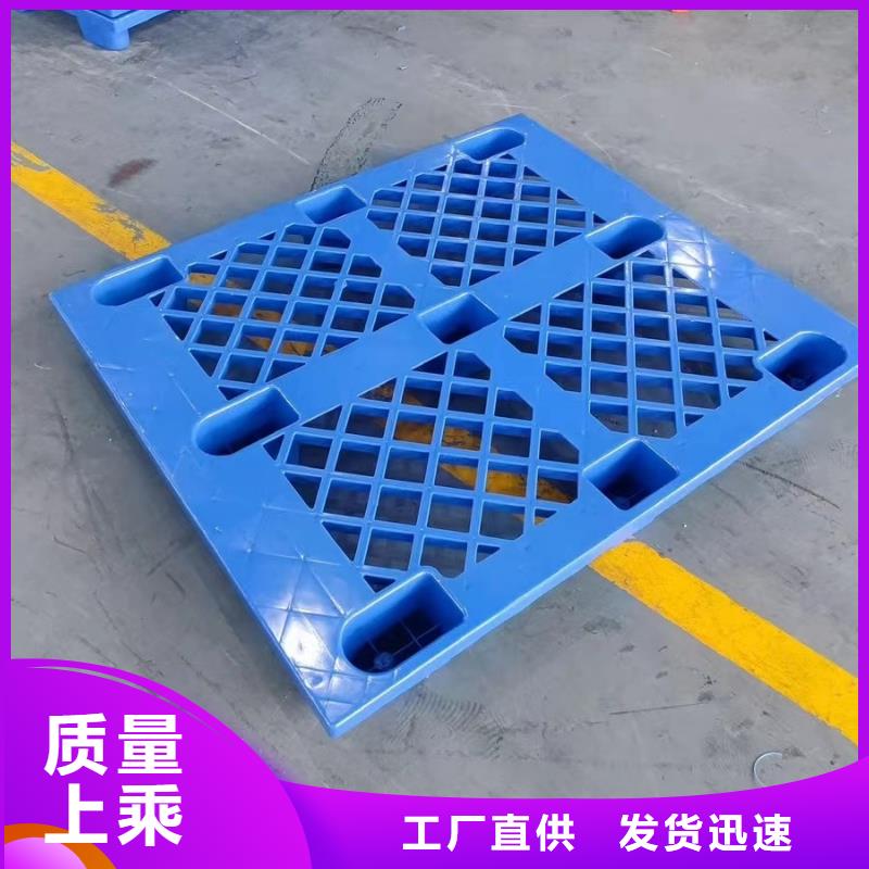 塑料拍子出厂价格