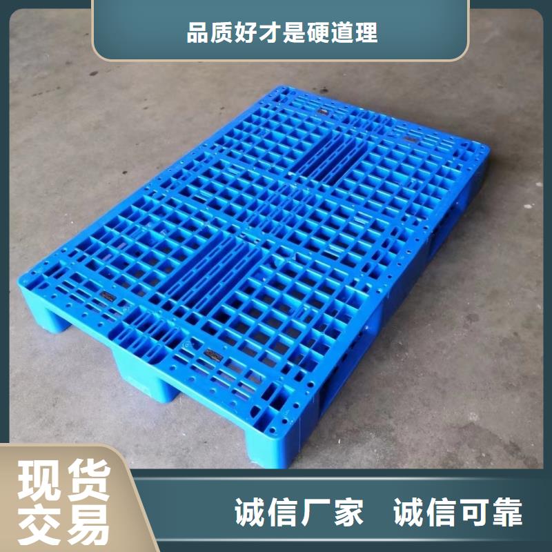 铁东区塑料拍子参考价格