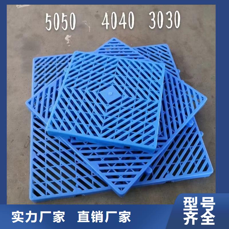 肇源县塑料地拍子报价