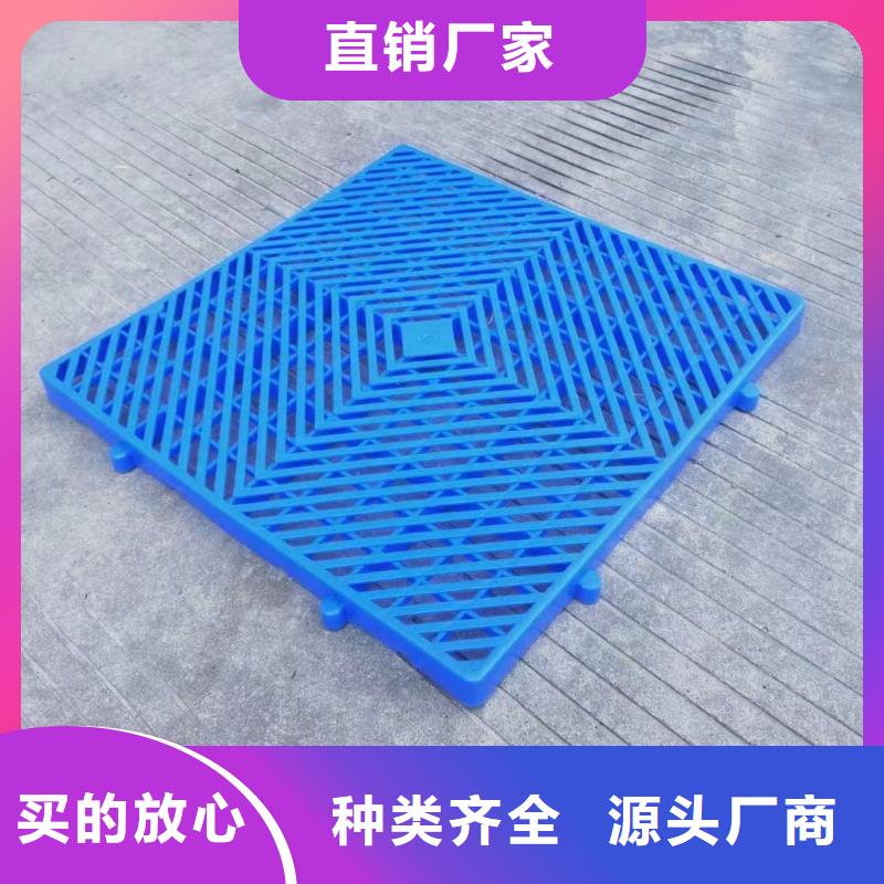 塑料地拍子当地厂家