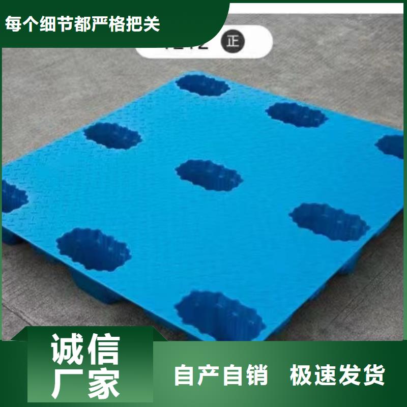安国塑料防潮板经销