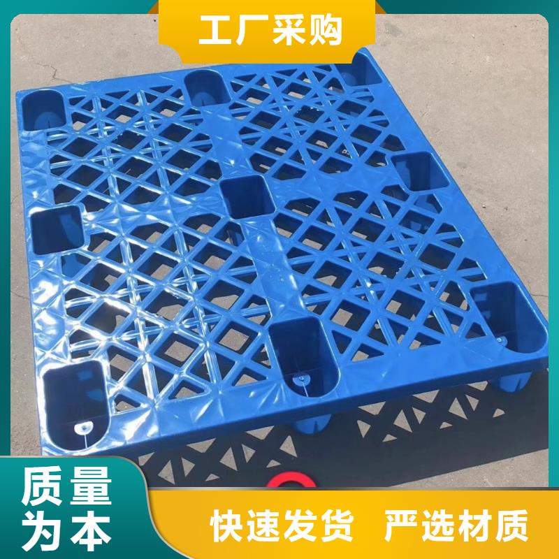 乐亭县塑料托盘采购指南