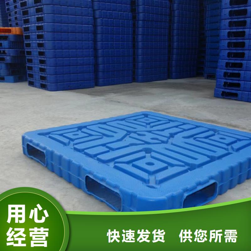 塑料拍子招商信息