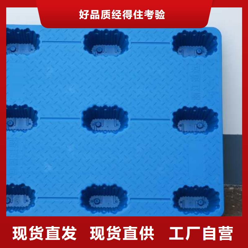 山阳塑料托盘质优价廉