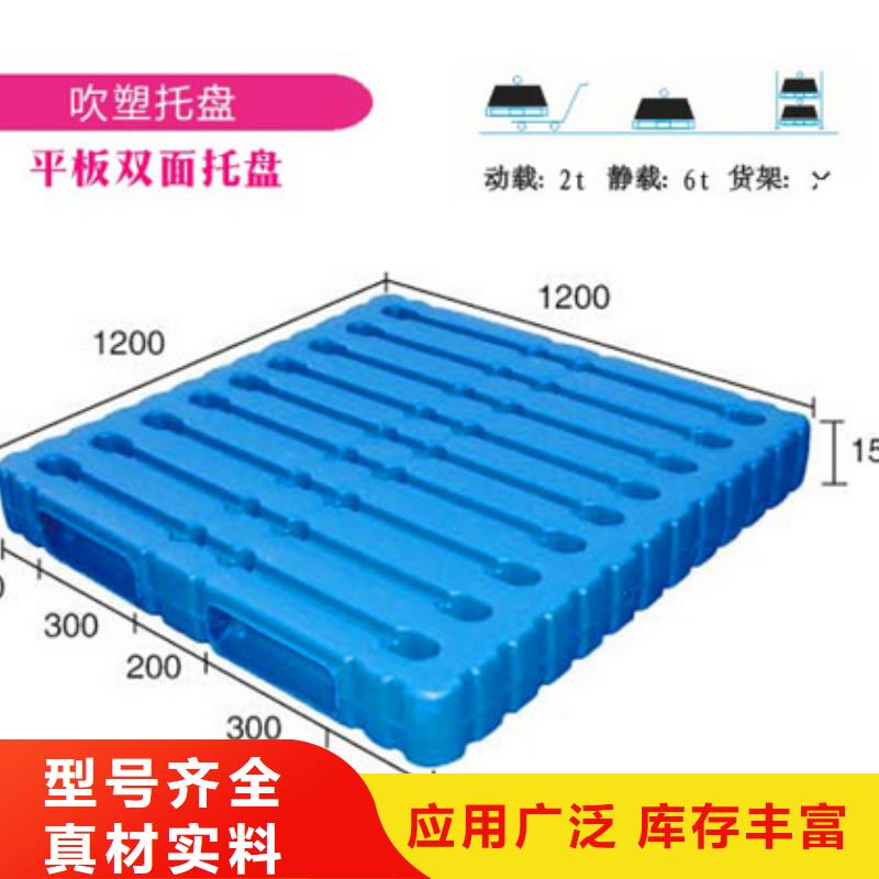 塑料拍子招商信息