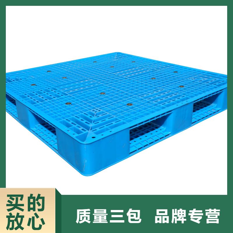 塑料拍子招商信息