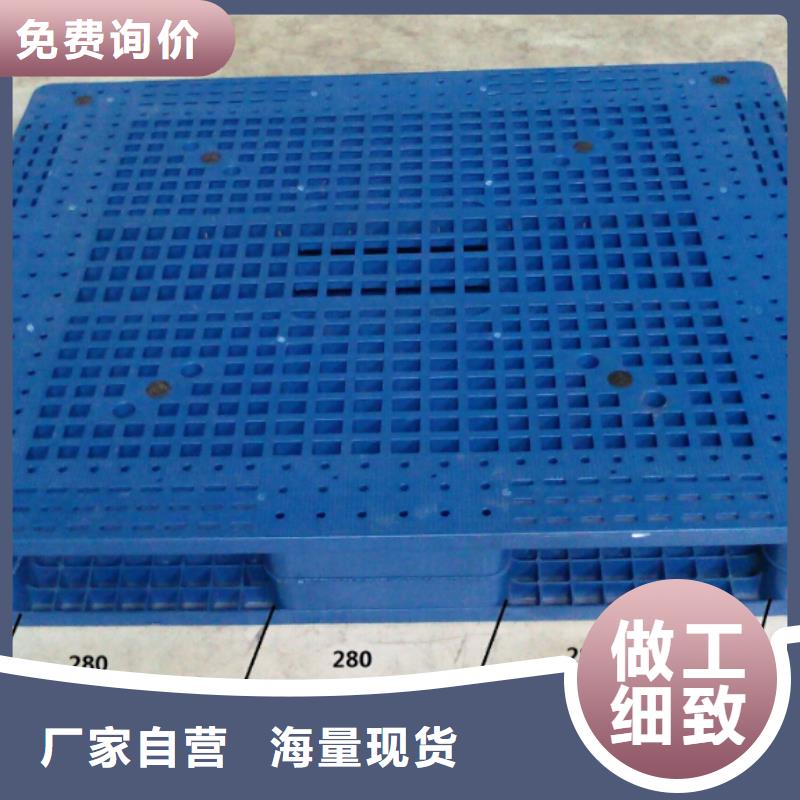 新邱区塑料托盘分销商