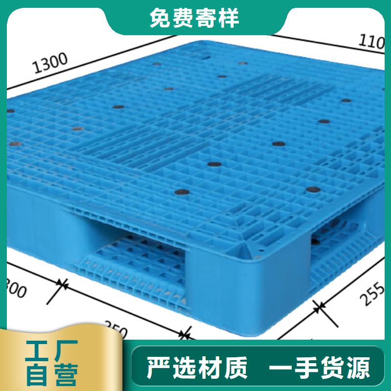 塑料拍子厂家供应