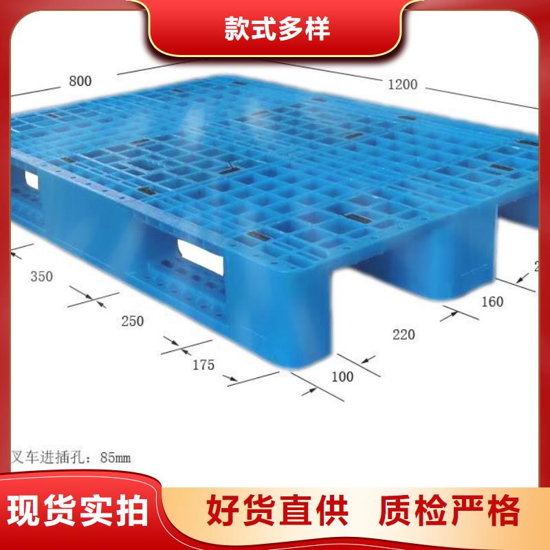 塑料拍子采购信息